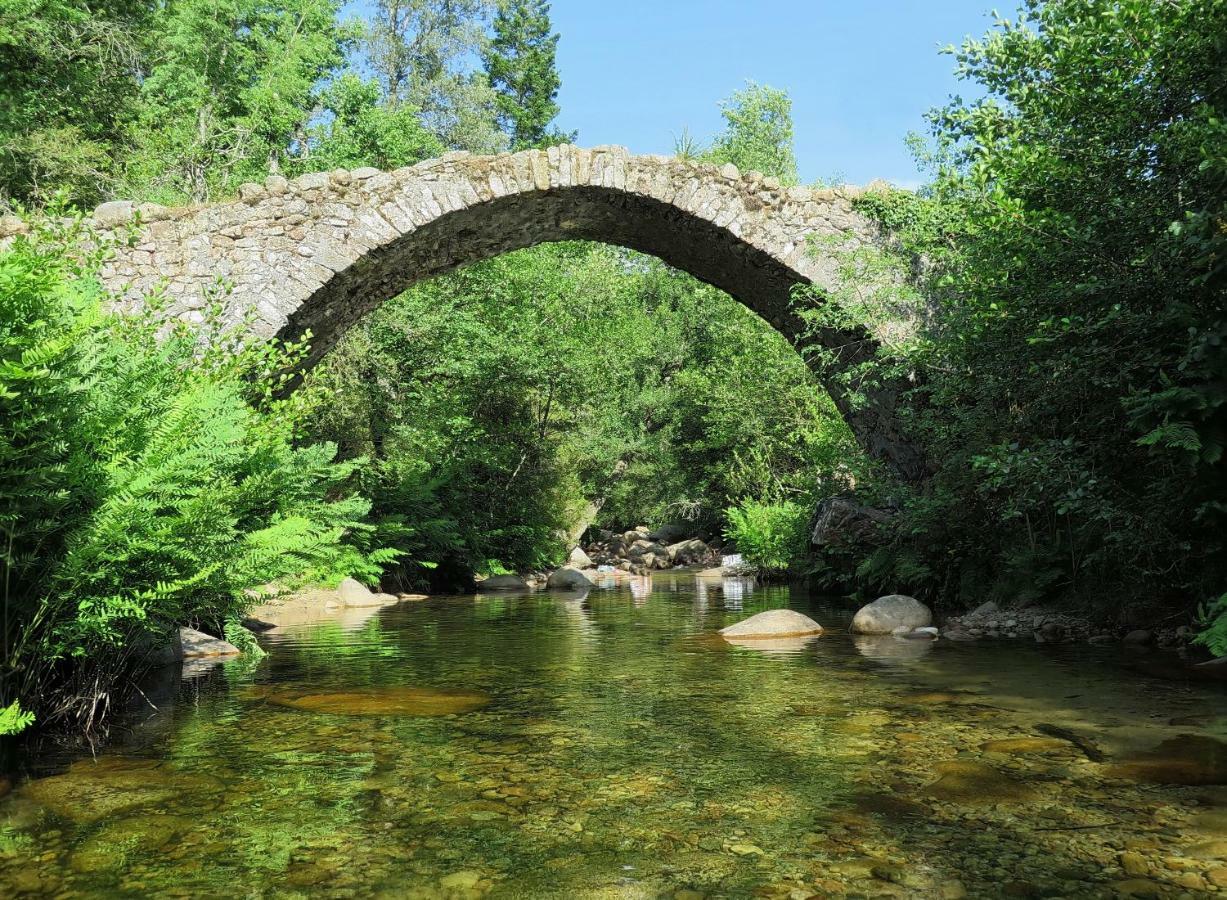 Locsera Porticcio  Dış mekan fotoğraf